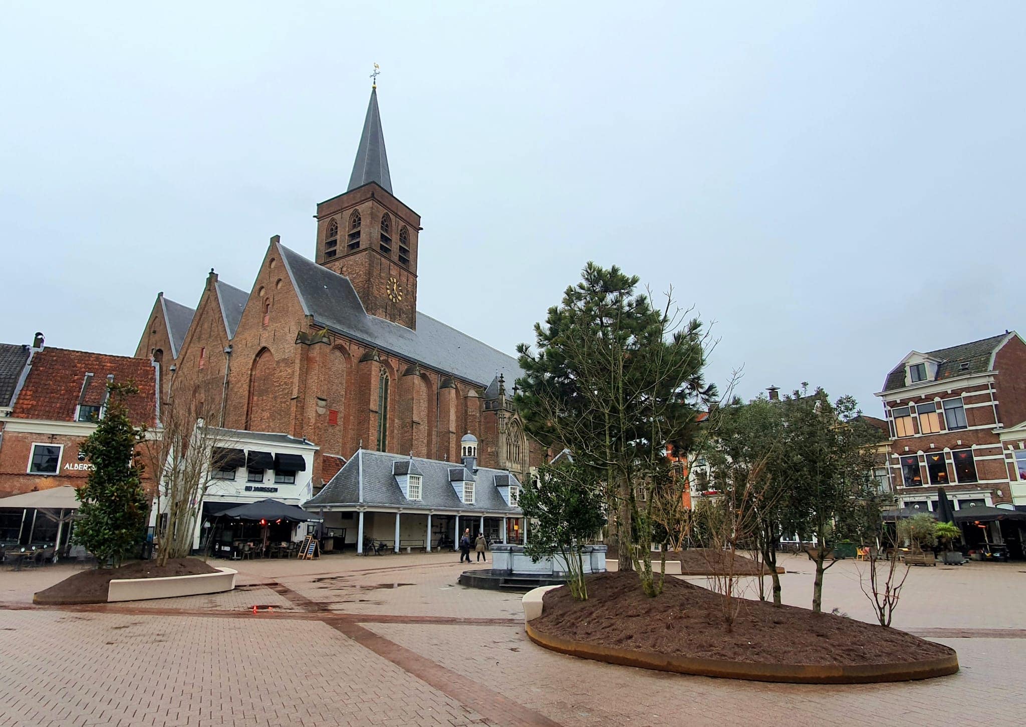 nieuwe-begroeiing-hof-2025